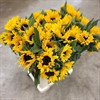 HELIANTHUS GUL SUNRICH 60 CM